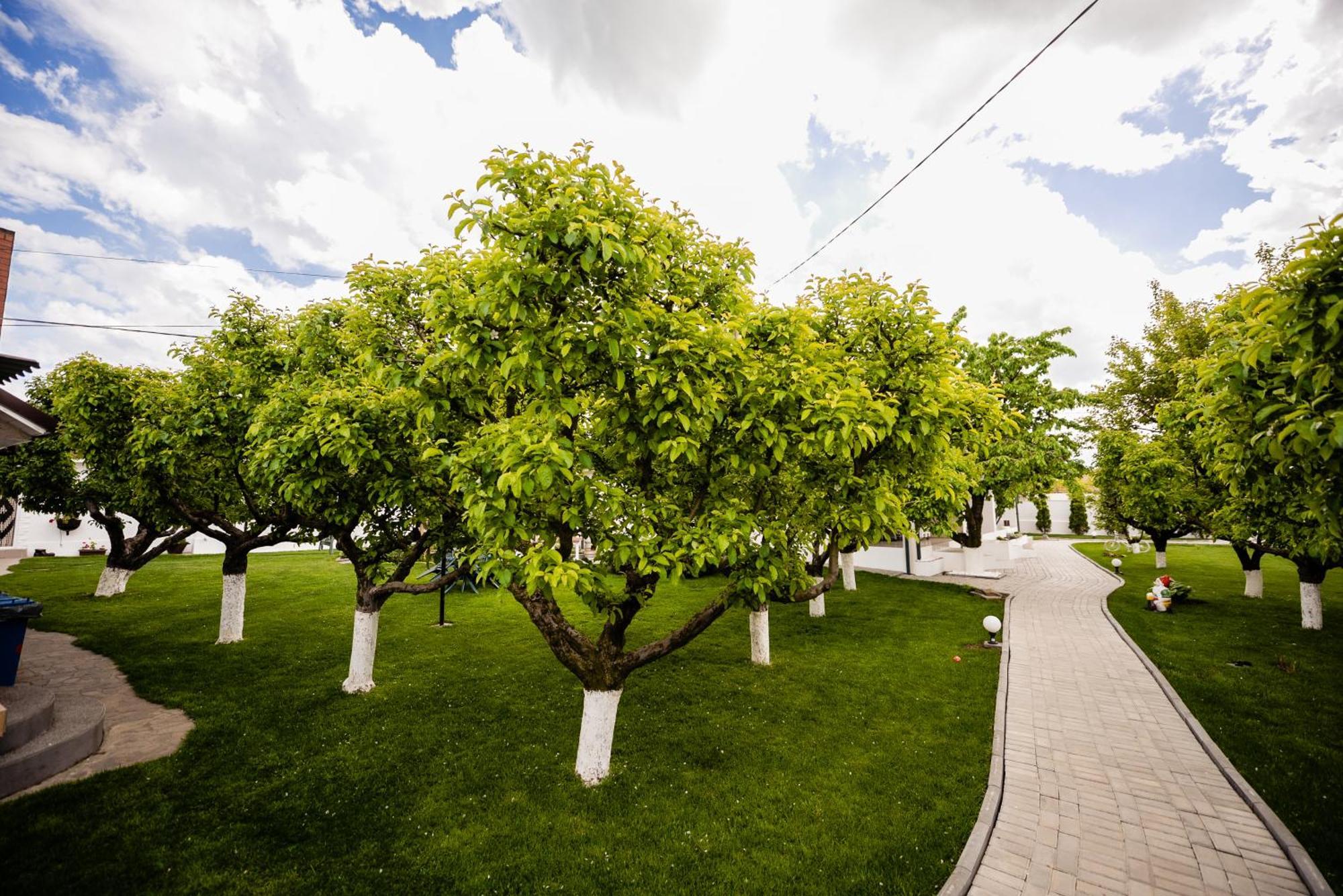 Nb Boutique Hotel Тузла Екстериор снимка